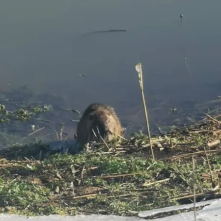 Casa Wamue Nature Reserve Direkt Am Altrhein Xanten
