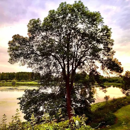 Casa Wamue Nature Reserve Direkt Am Altrhein *